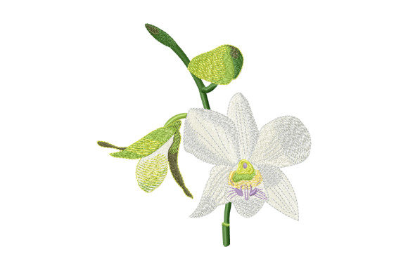 Tropical Flower White Orchid for Spring Apparel
